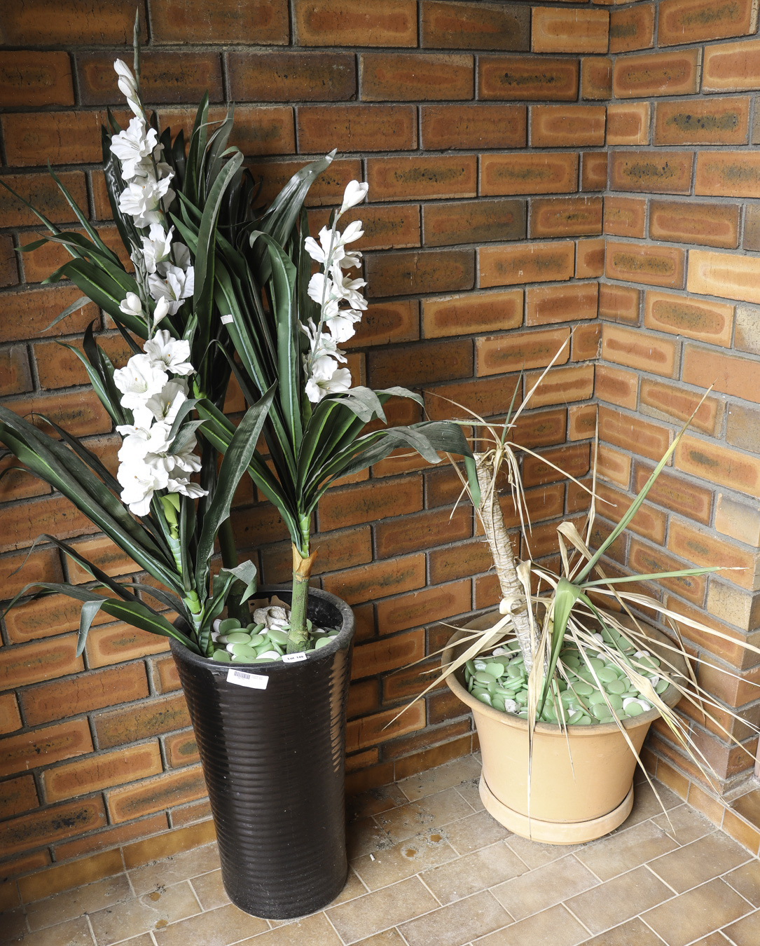 Lot 149 - Image 2