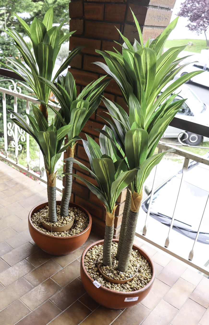 Lot 150 - Image 2