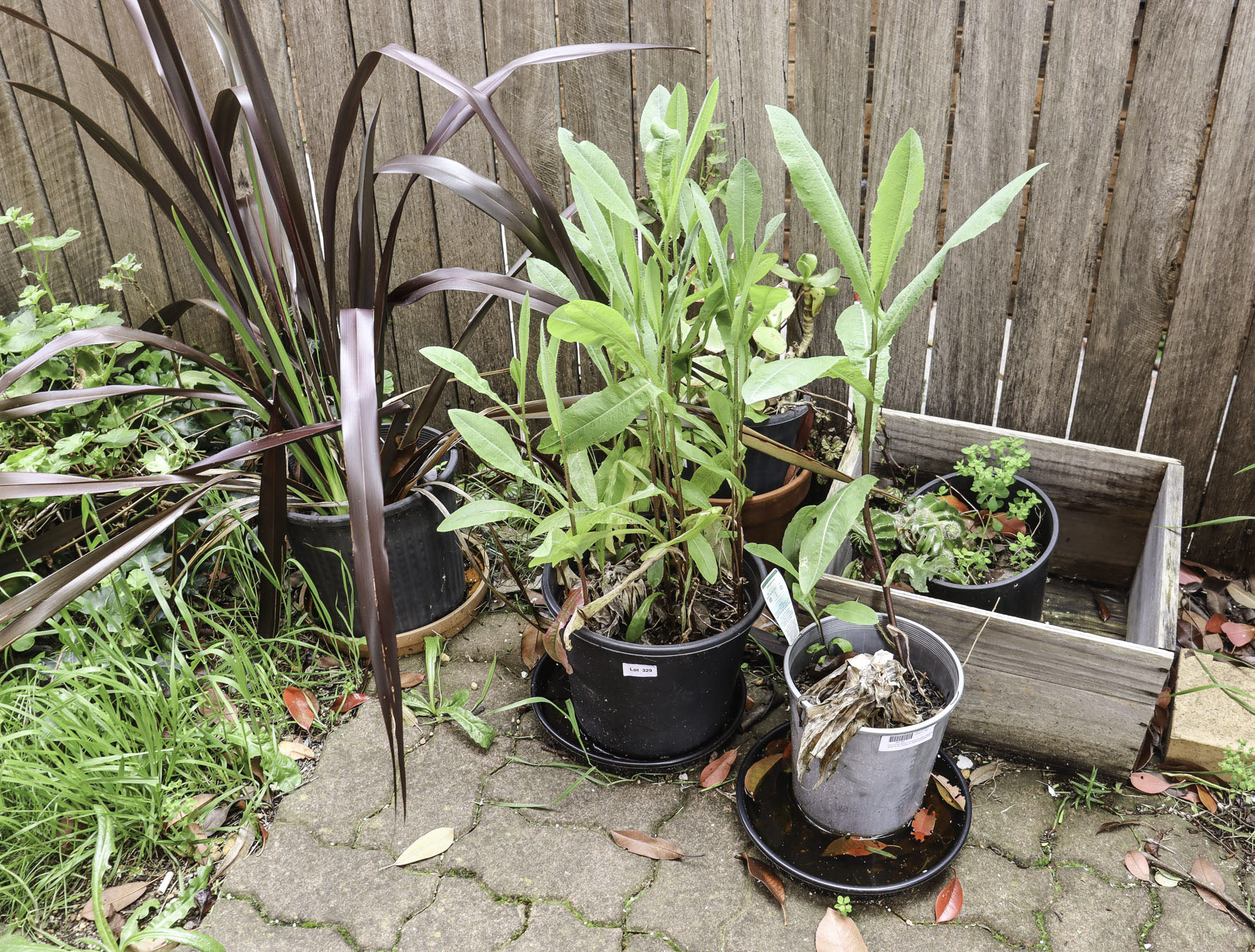 Lot 329 - Image 2