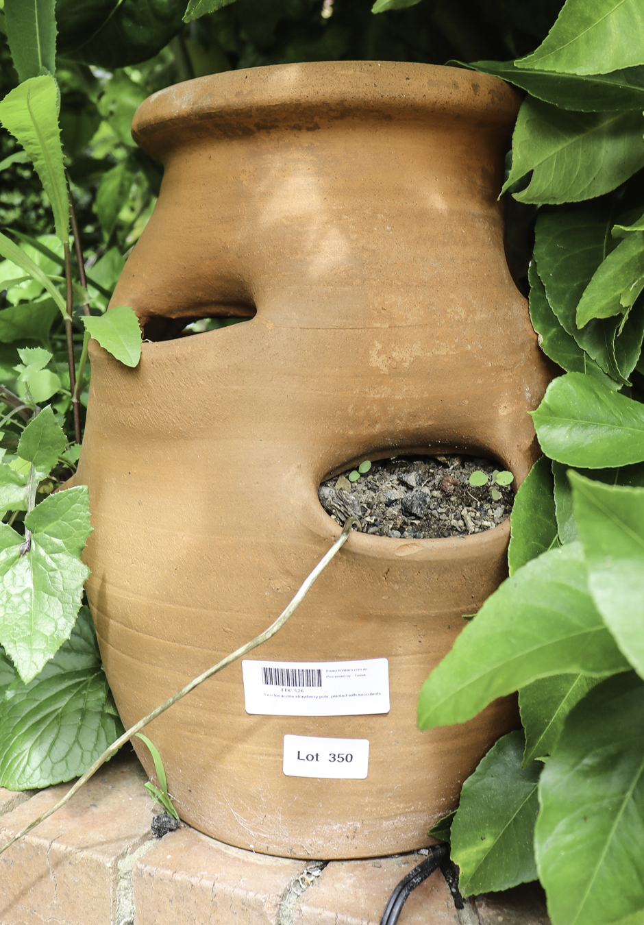 Lot 350 - Image 2