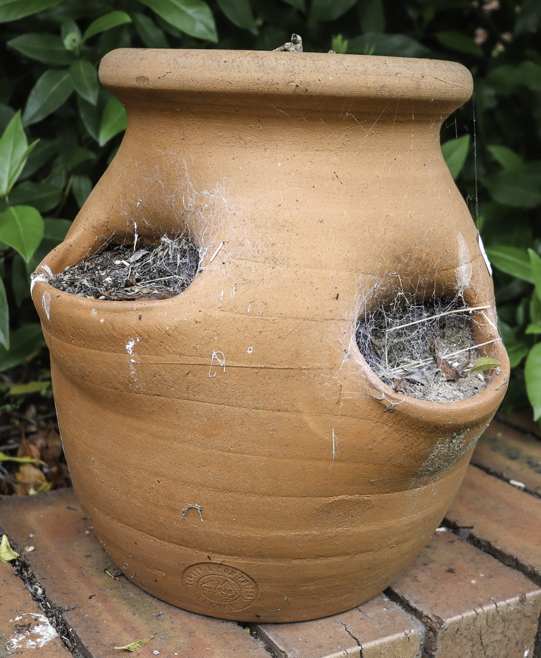 Lot 371 - Image 2