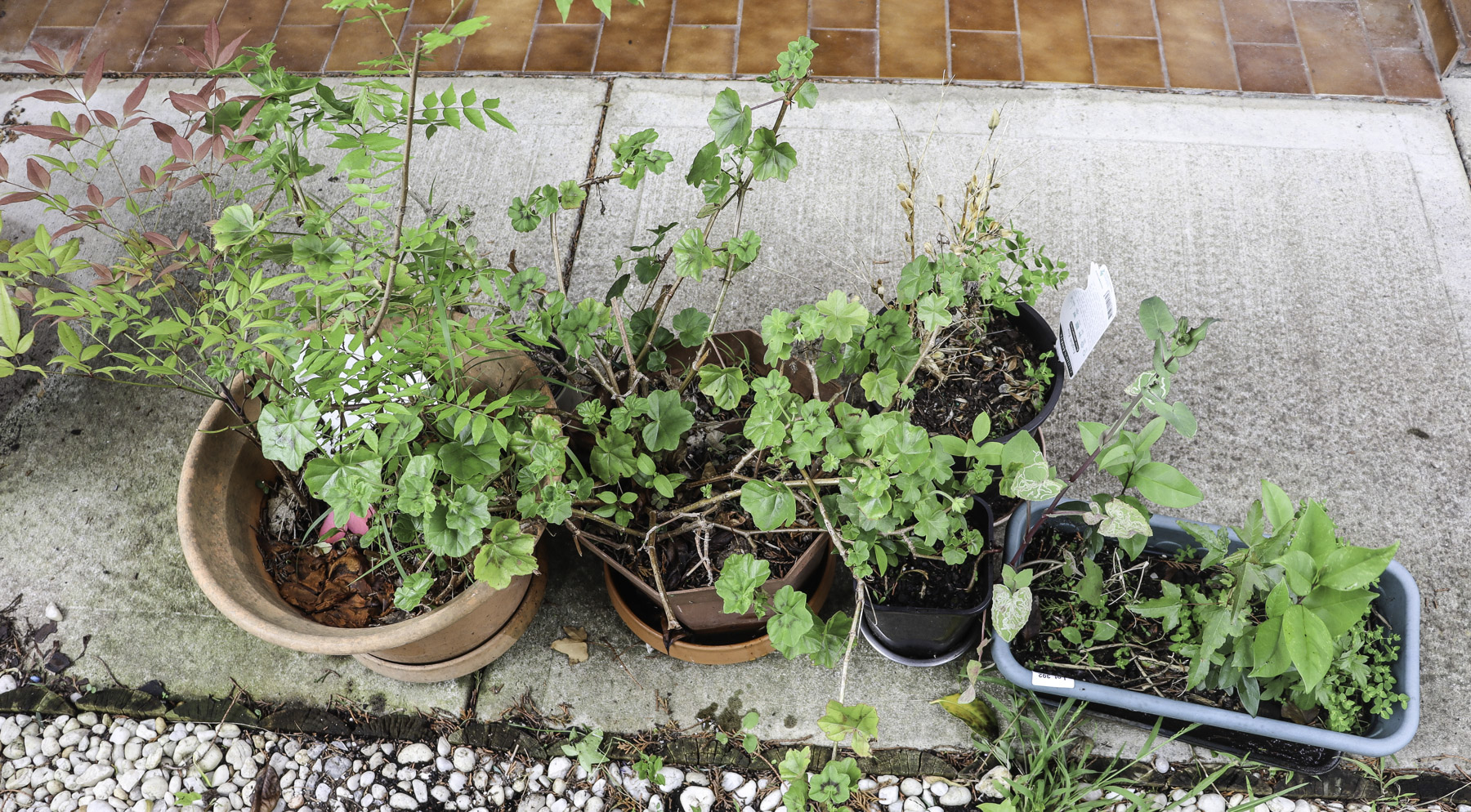 Lot 392 - Image 2