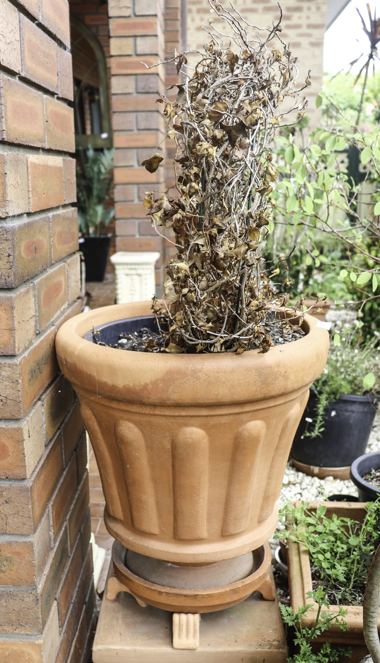 Lot 398 - Image 2