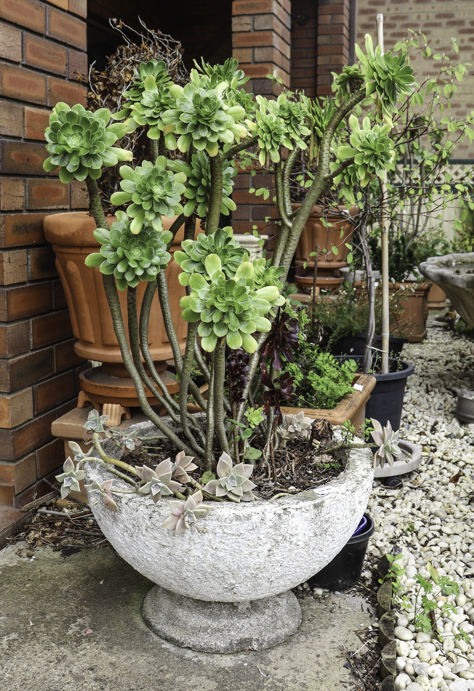 Lot 401 - Image 2