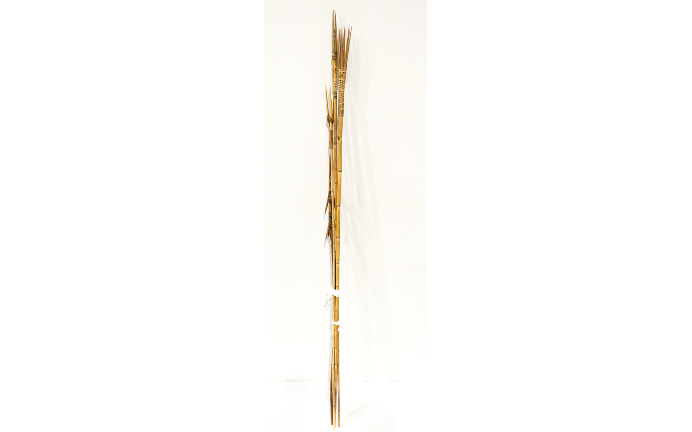 Lot 27 - Image 2