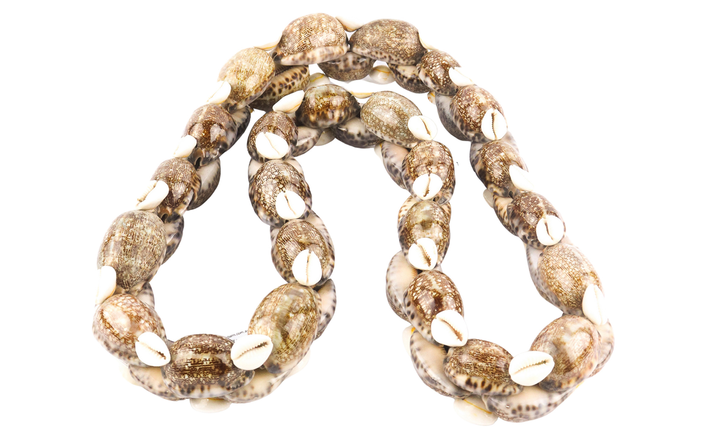 Lot 31 - Image 2