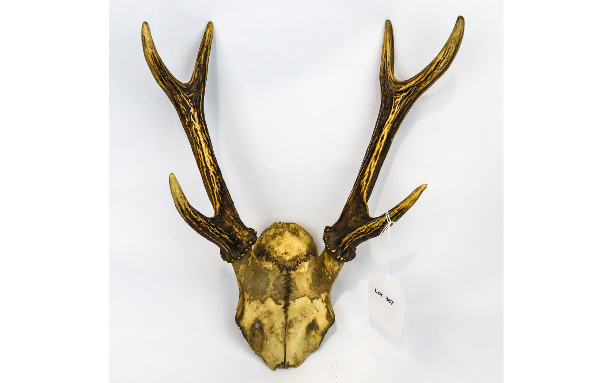 Lot 367 - Image 2