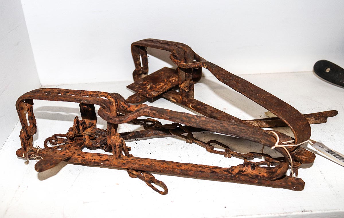 Lot 1000 - Image 2