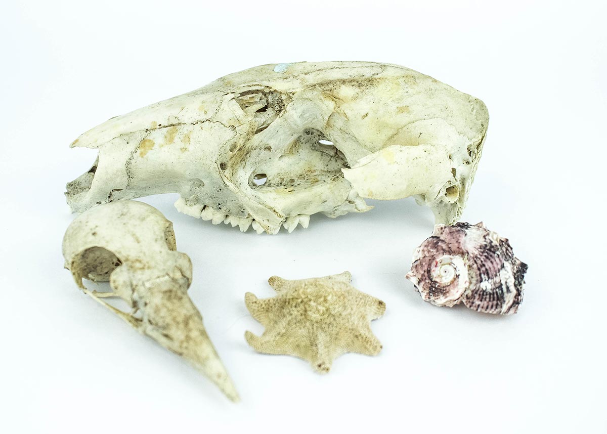 Lot 697 - Image 2