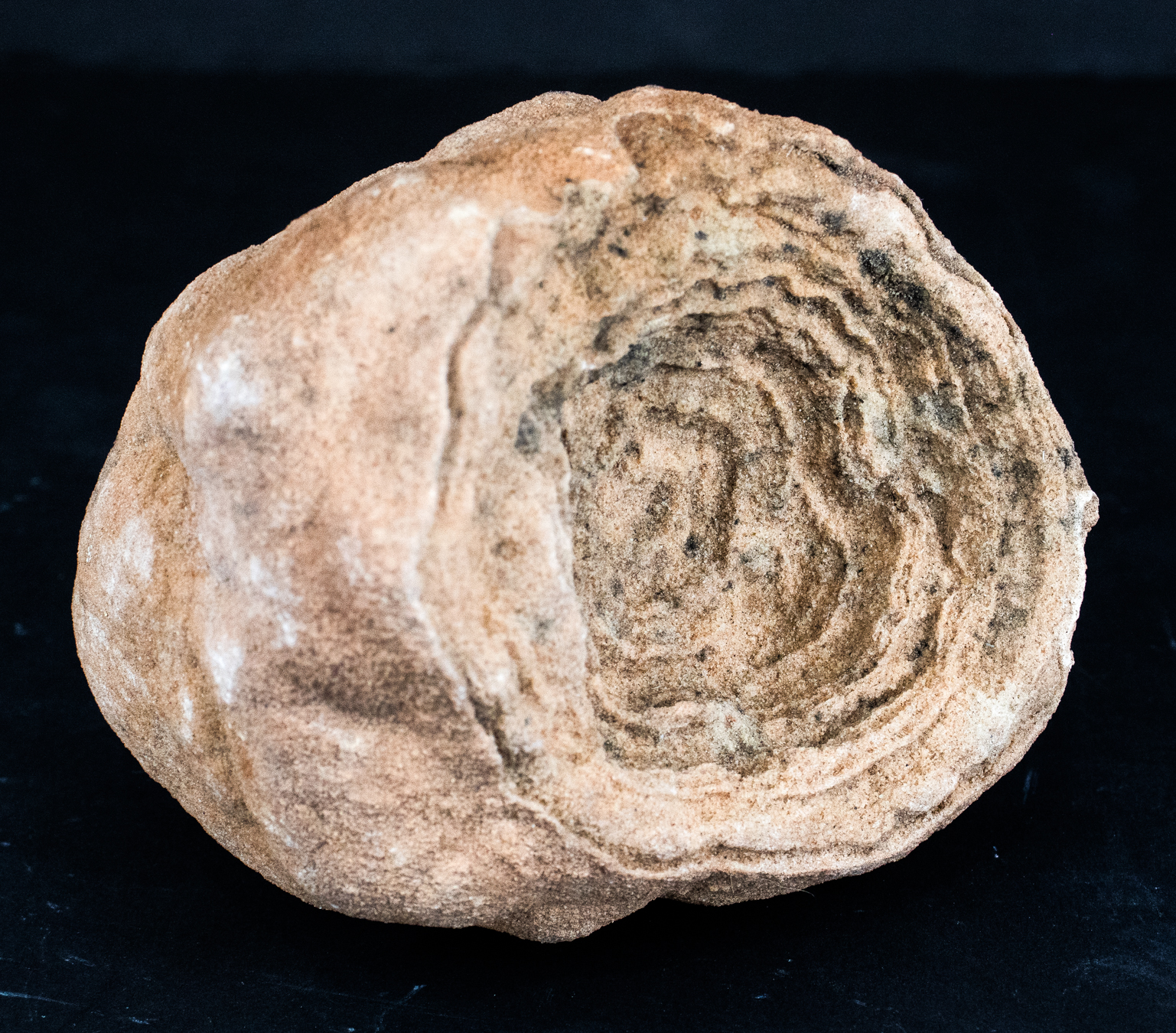 Lot 450 - Image 2
