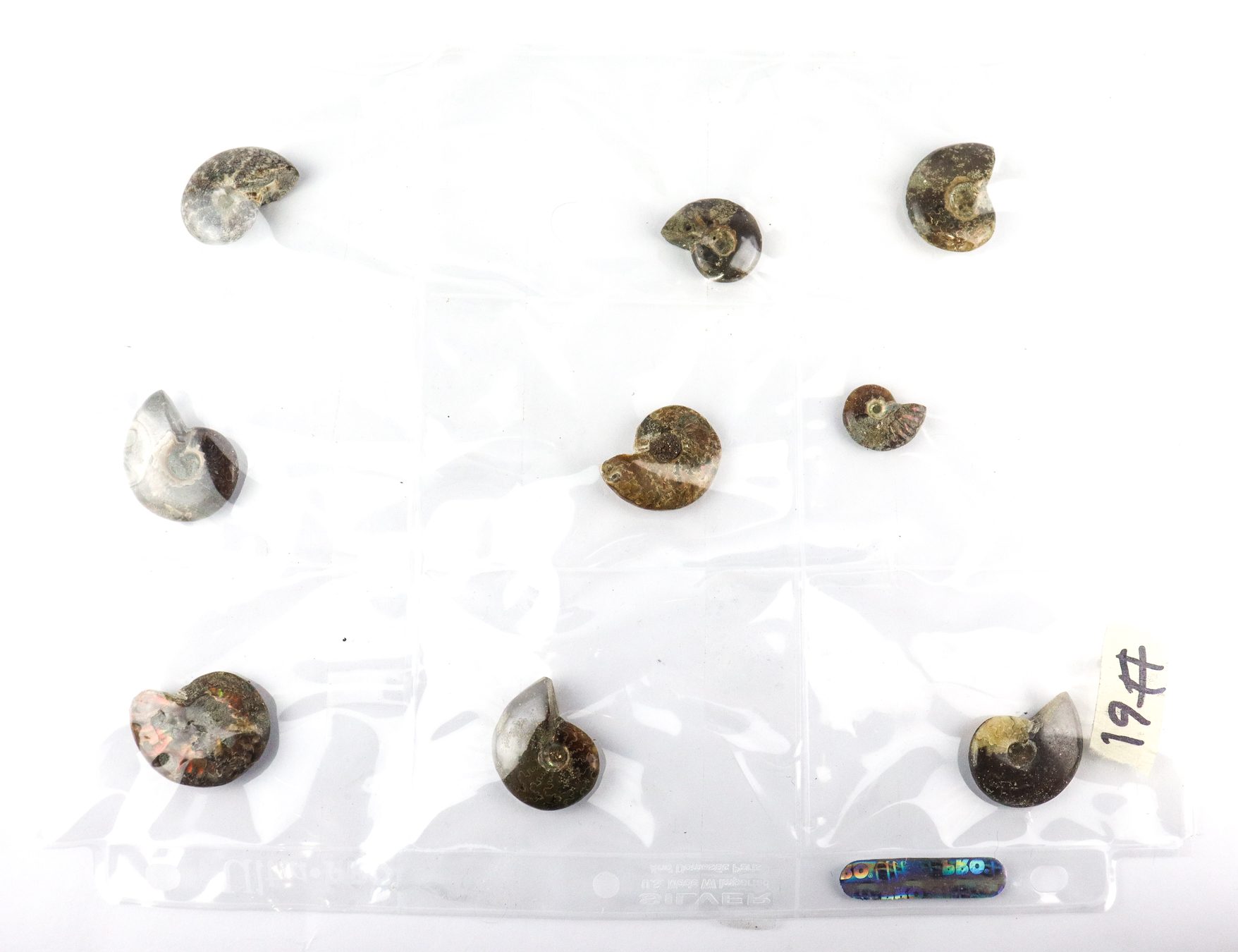 Lot 492 - Image 2