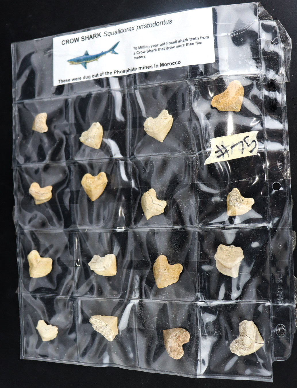 Lot 481 - Image 2