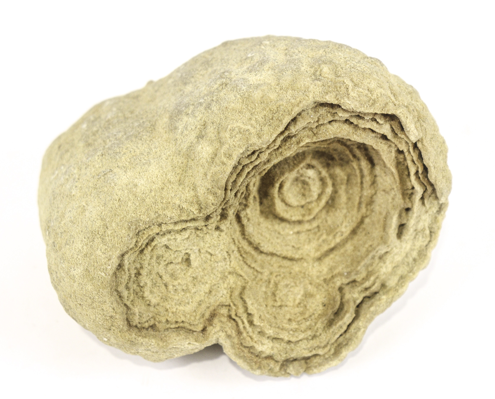 Lot 66 - Image 2