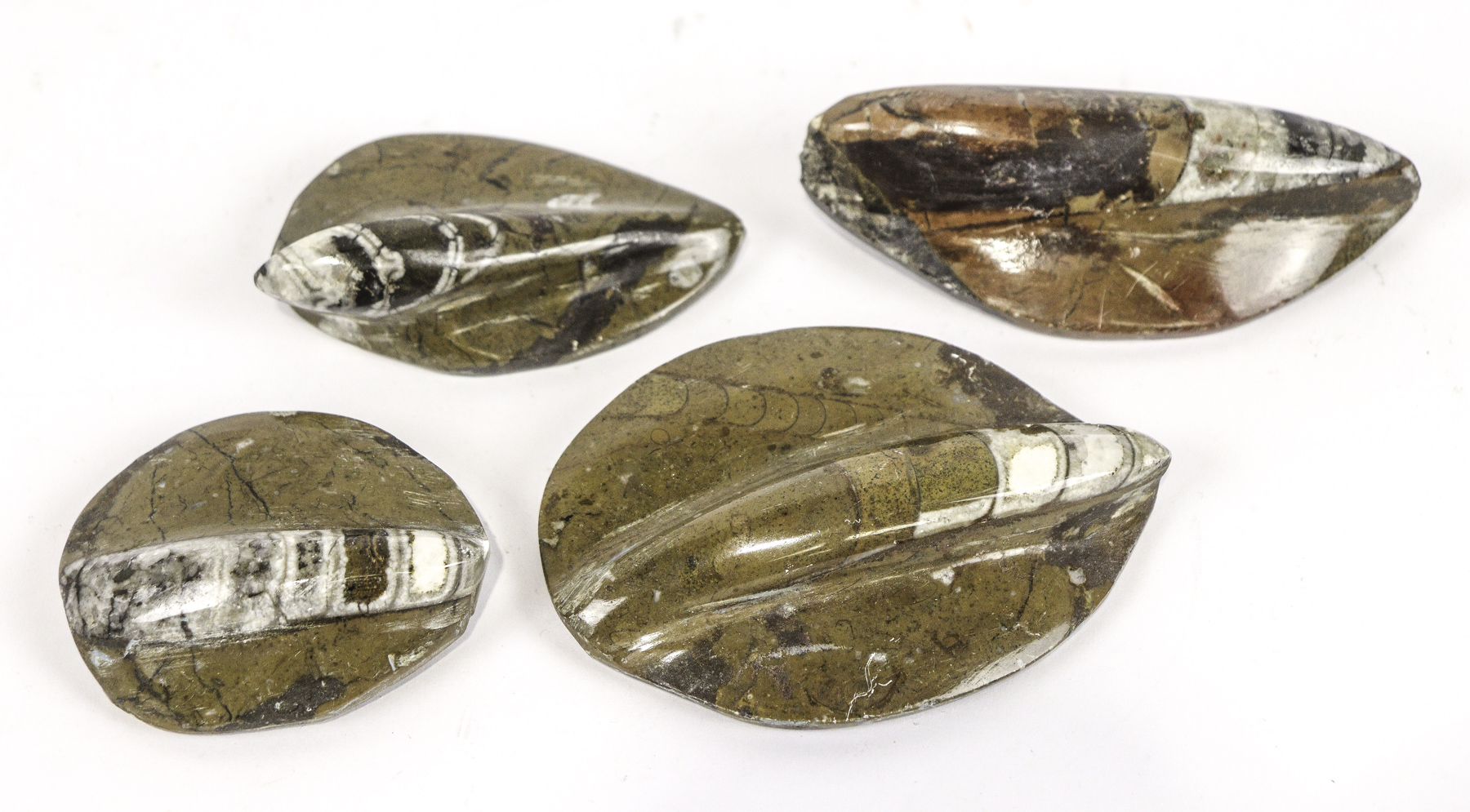 Lot 73 - Image 2