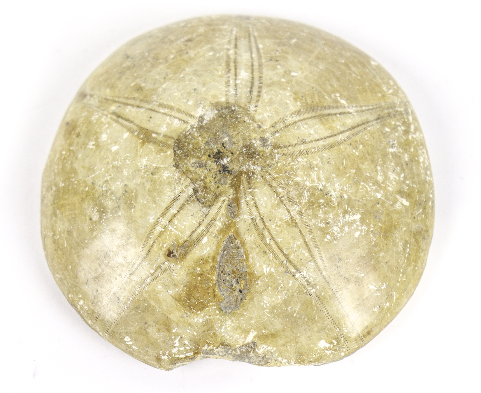 Lot 67 - Image 2