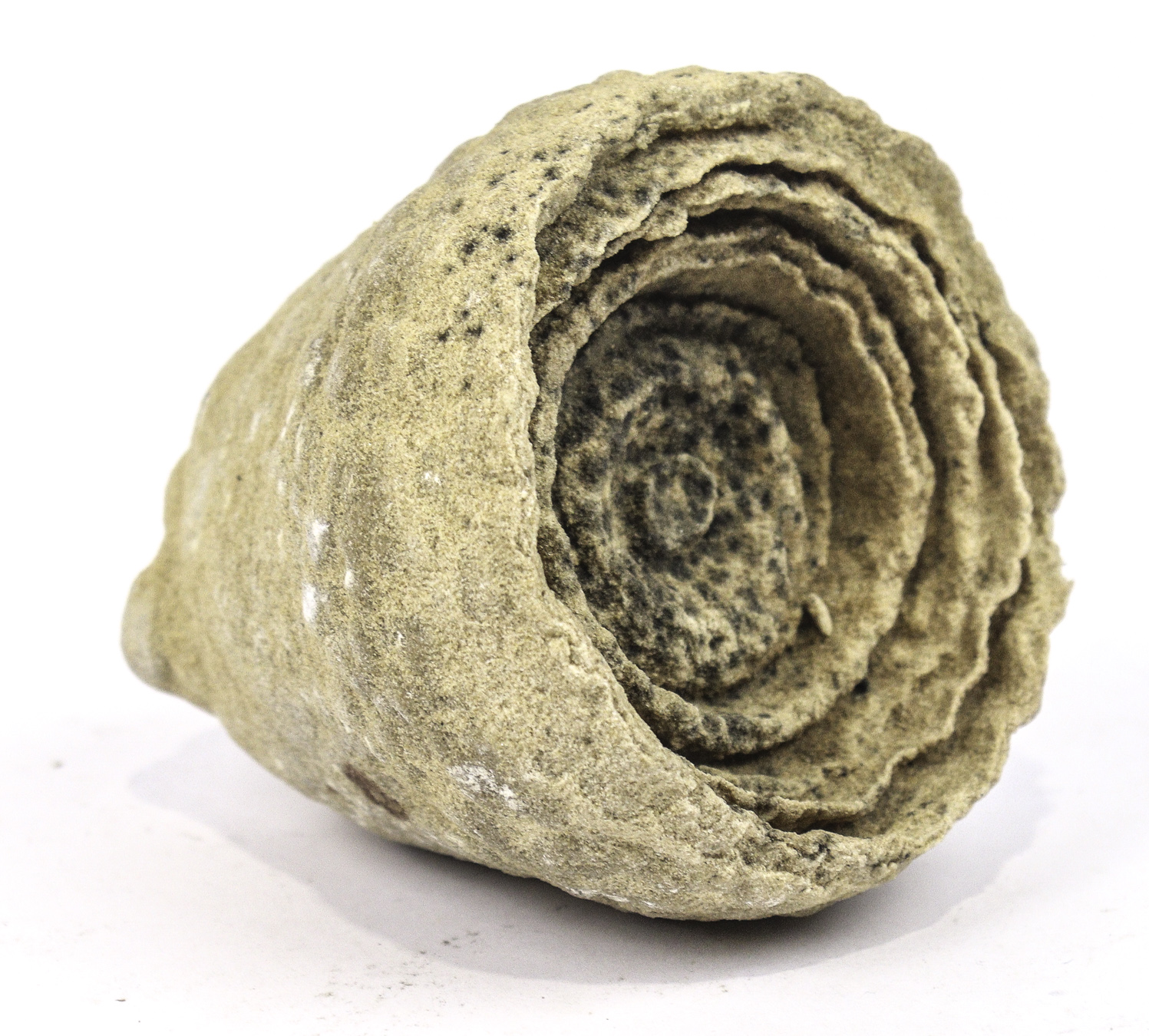 Lot 96 - Image 2