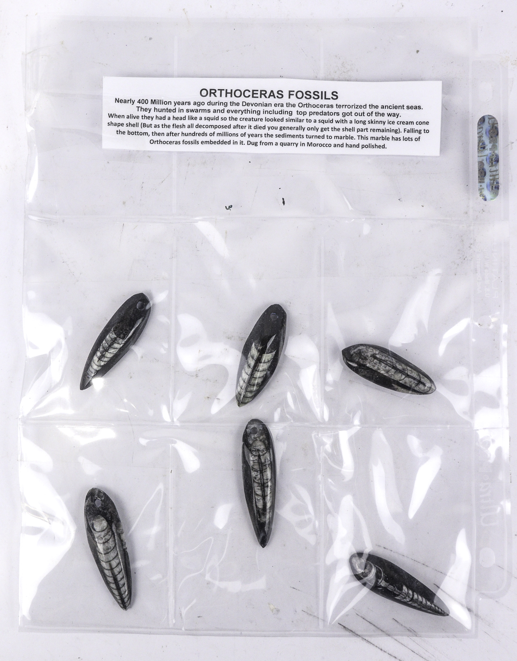Lot 77 - Image 2