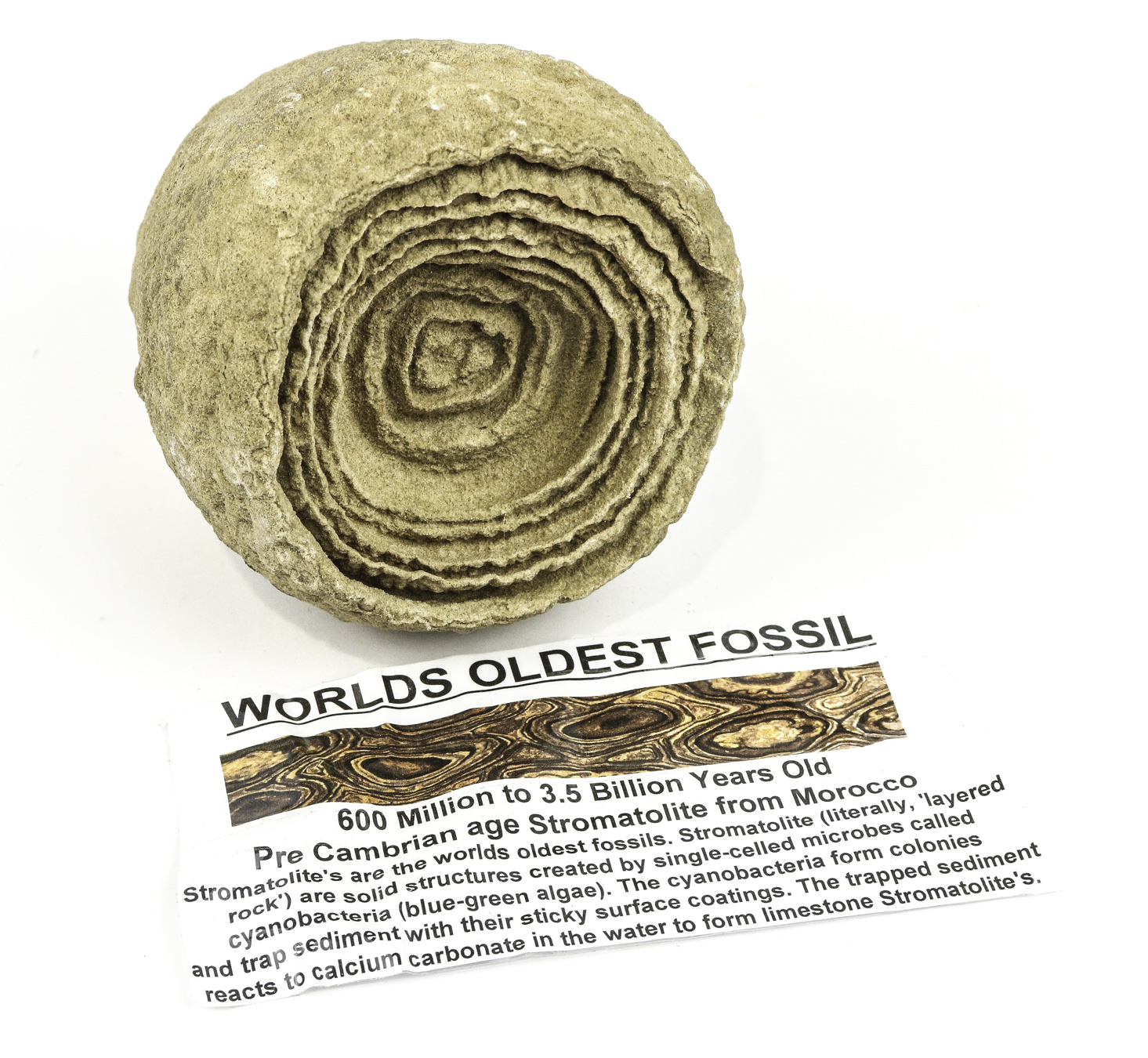 Lot 108 - Image 2