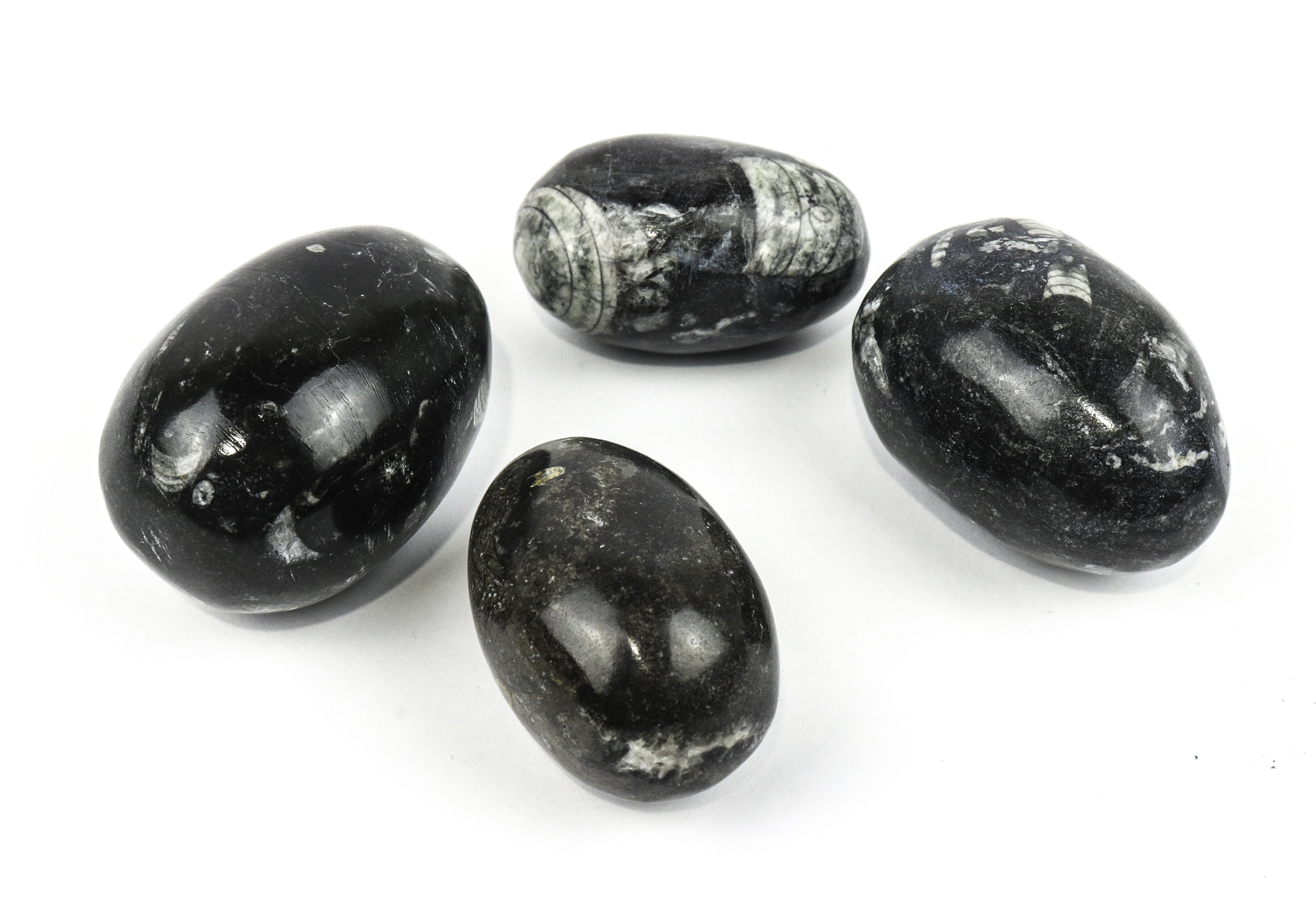 Lot 146 - Image 2