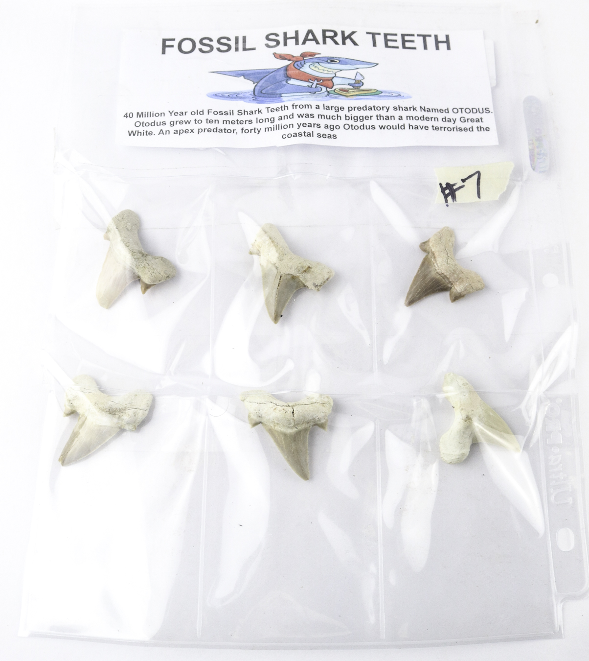 Lot 56 - Image 2