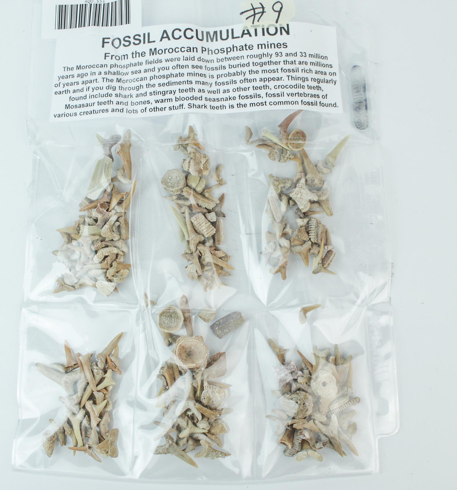 Lot 931 - Image 2