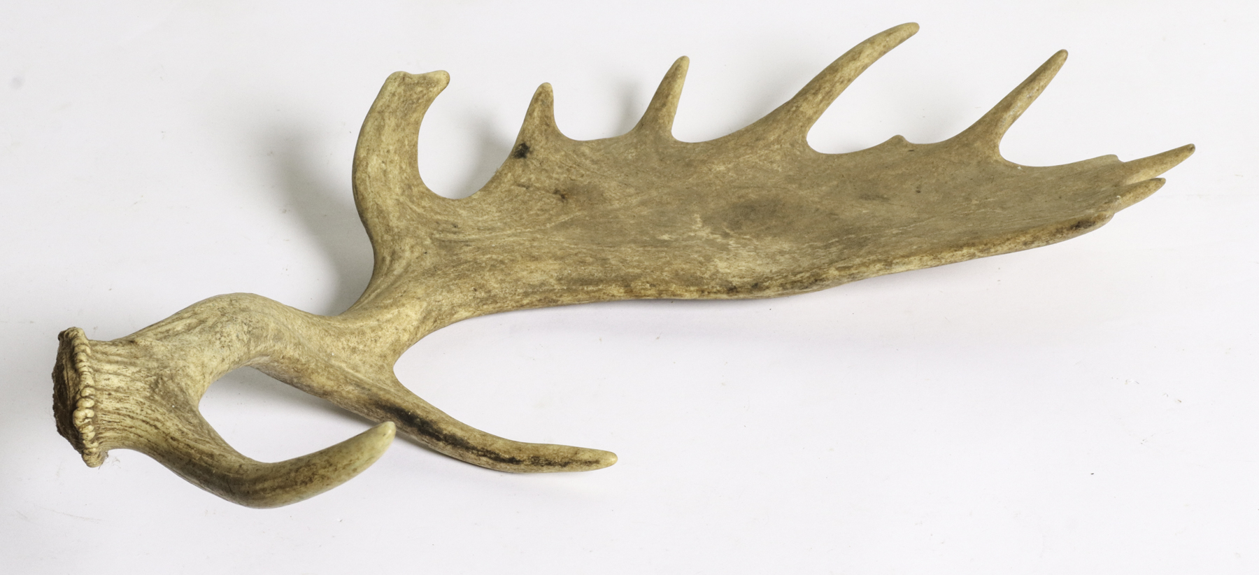 Lot 331 - Image 2