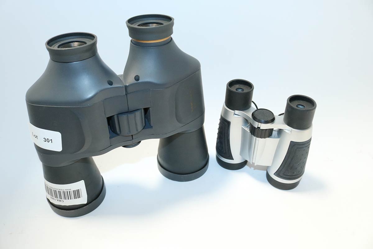 Lot 301 - Image 2