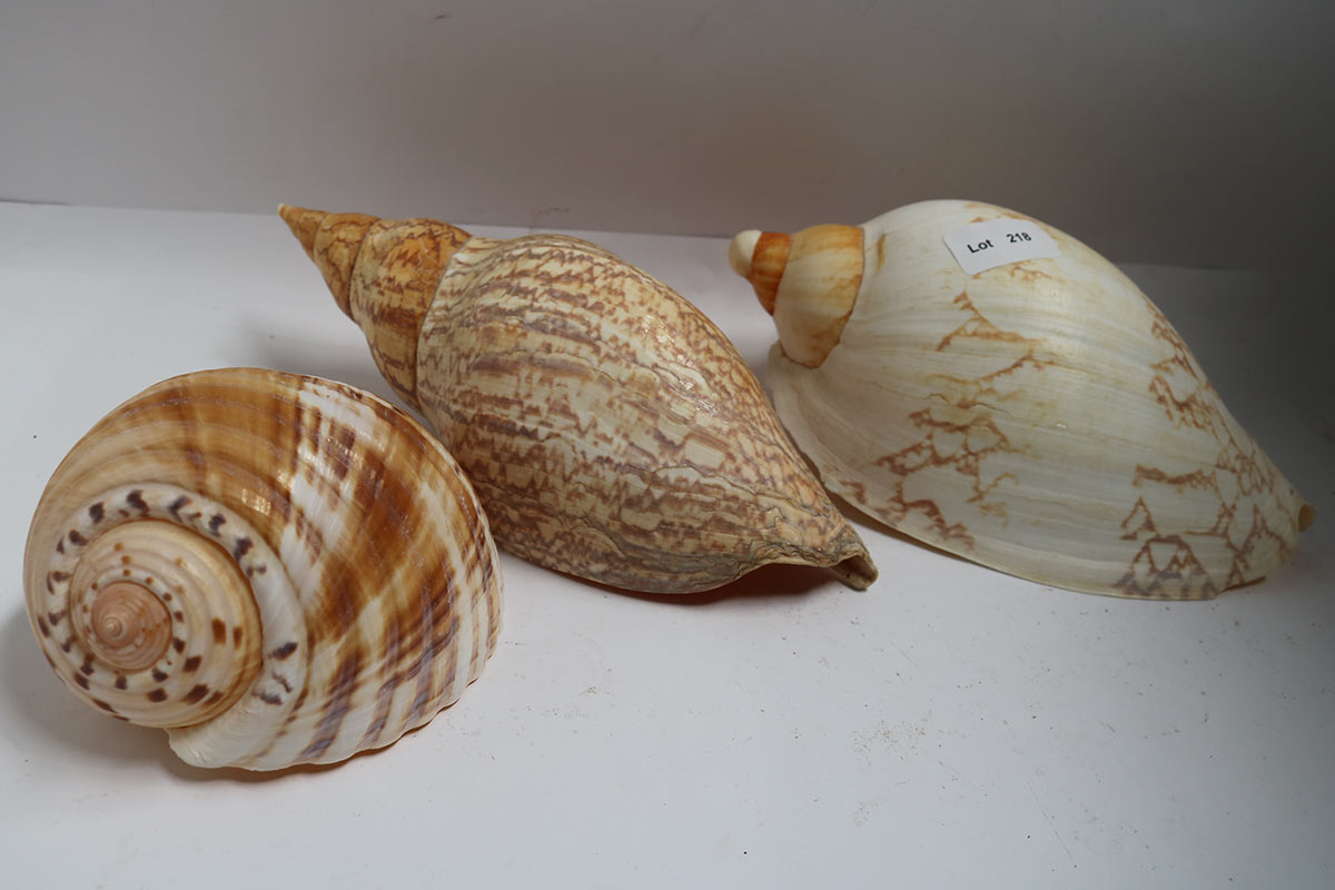 Lot 218 - Image 2
