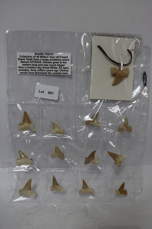 Lot 507 - Image 2
