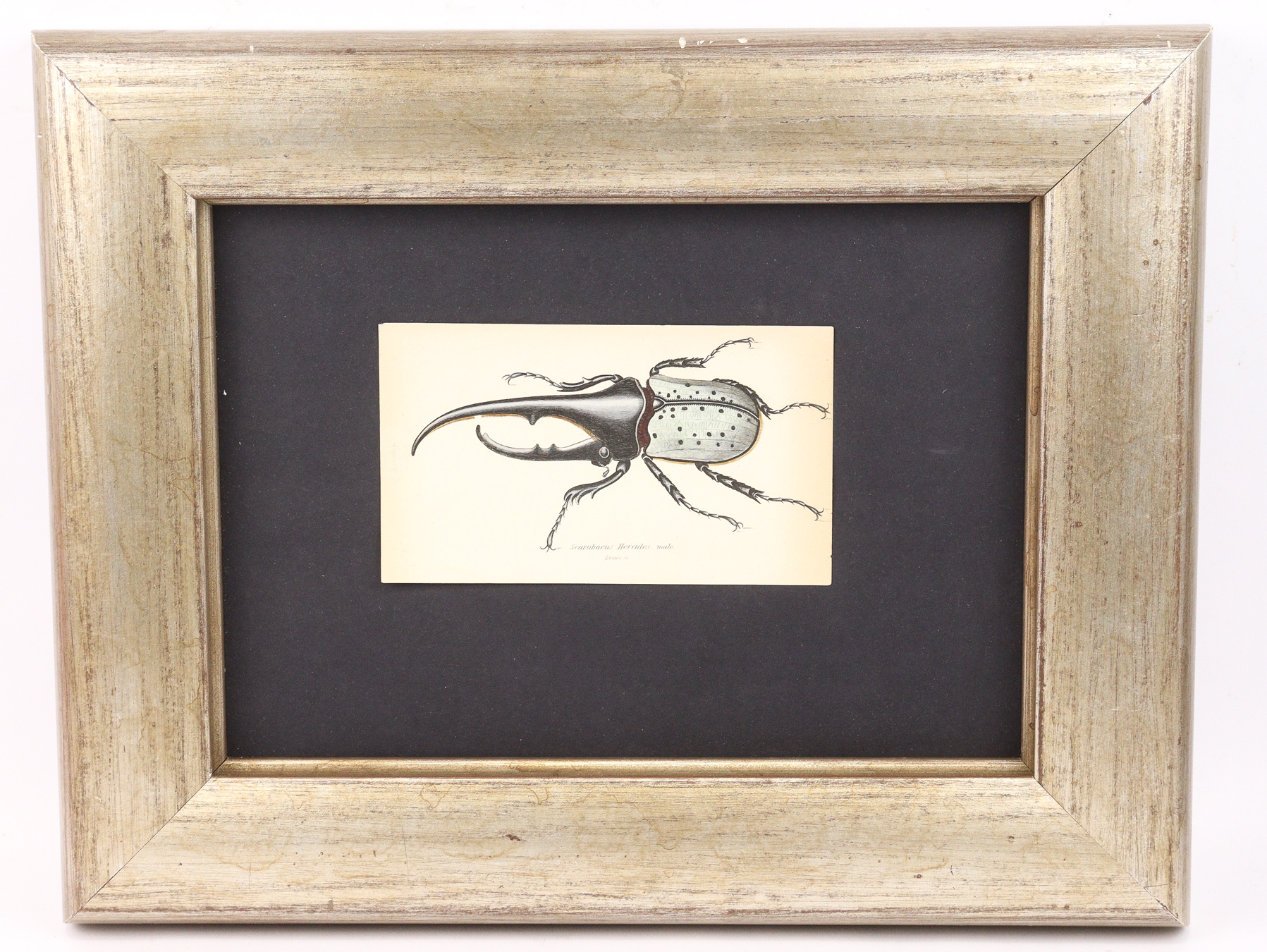 Lot 212 - Image 2