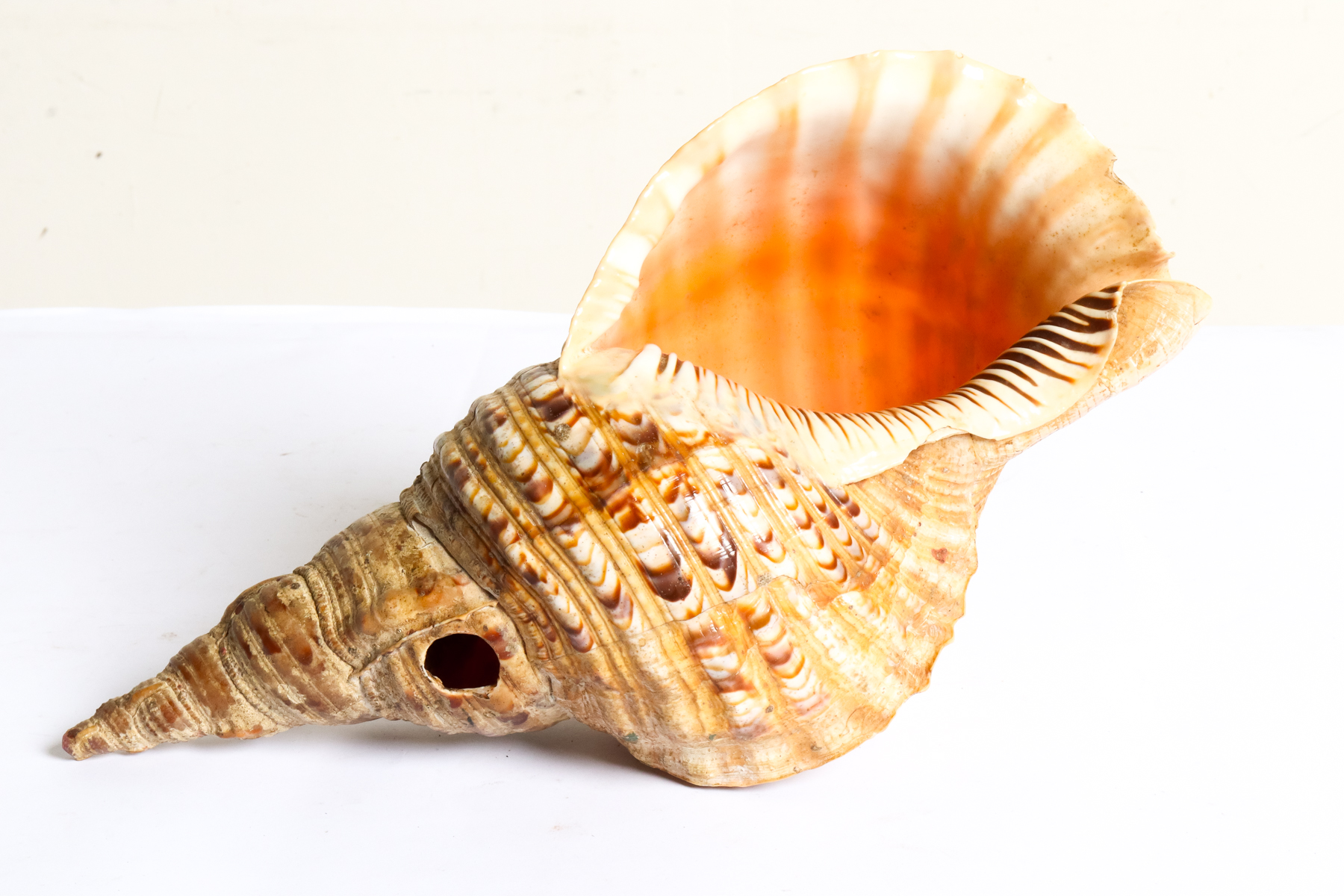 Lot 143 - Image 2