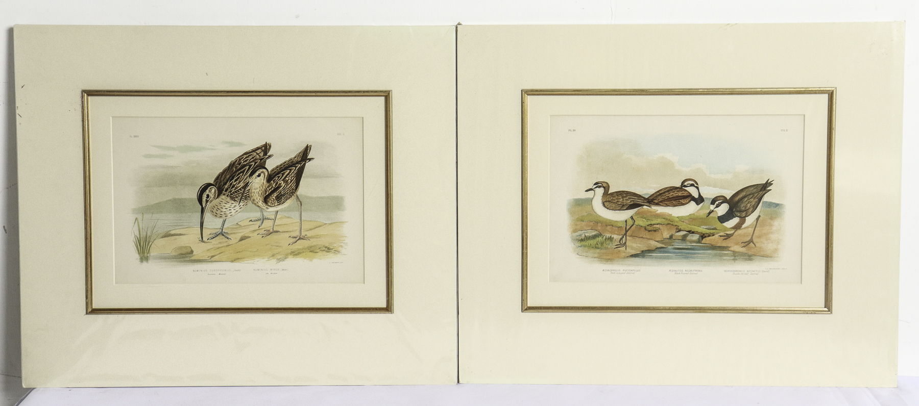 Lot 287 - Image 2
