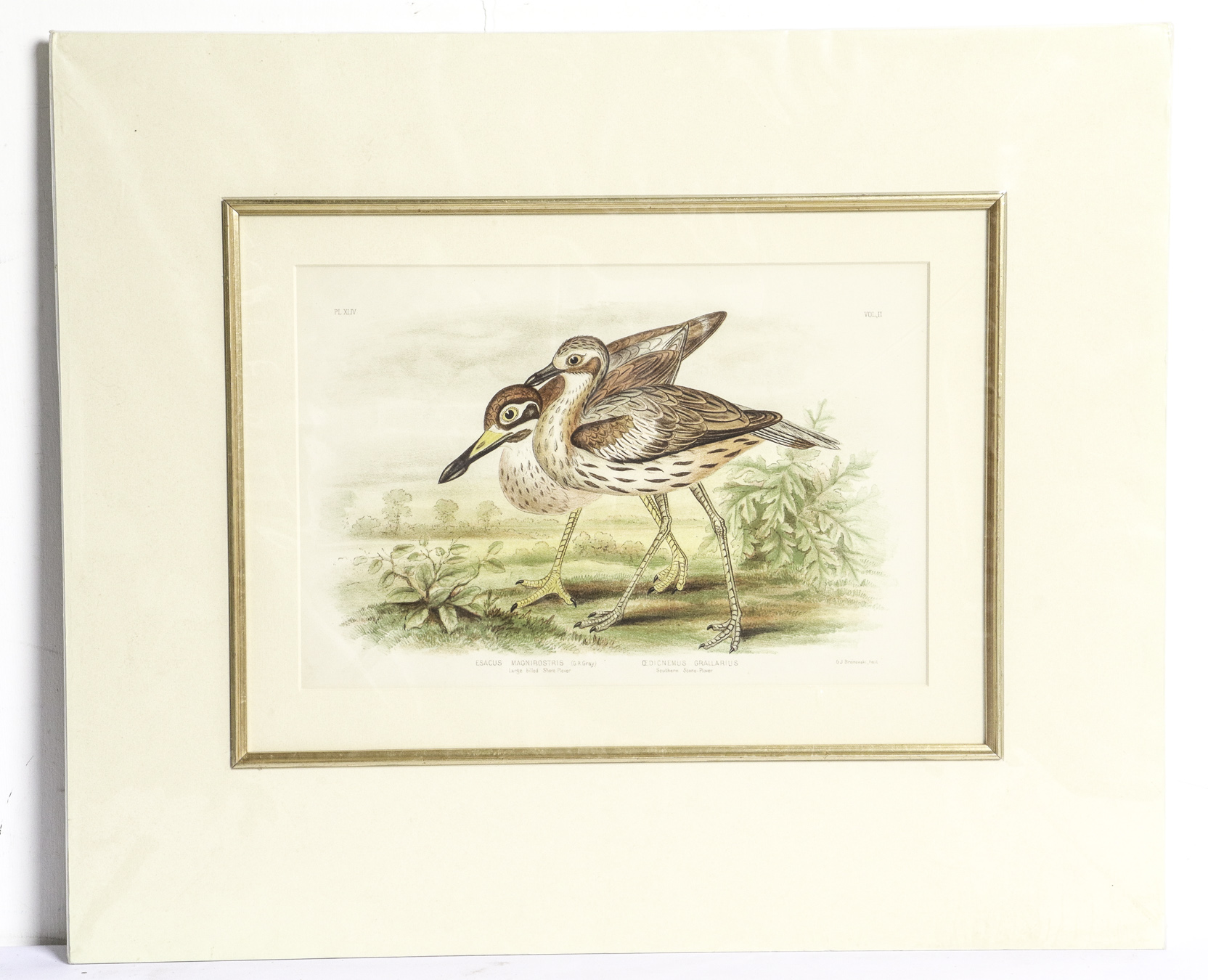Lot 239 - Image 2