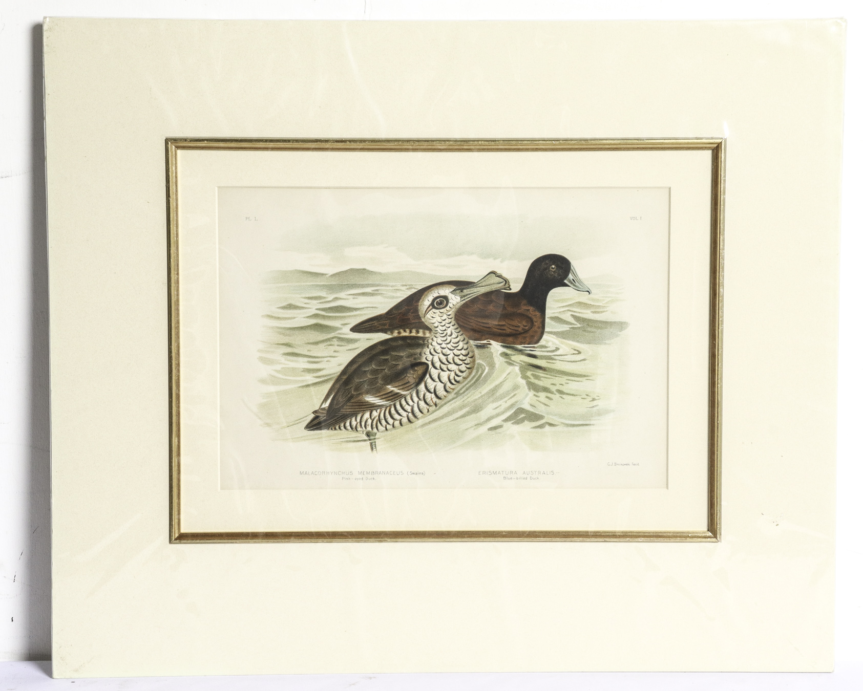 Lot 240 - Image 2