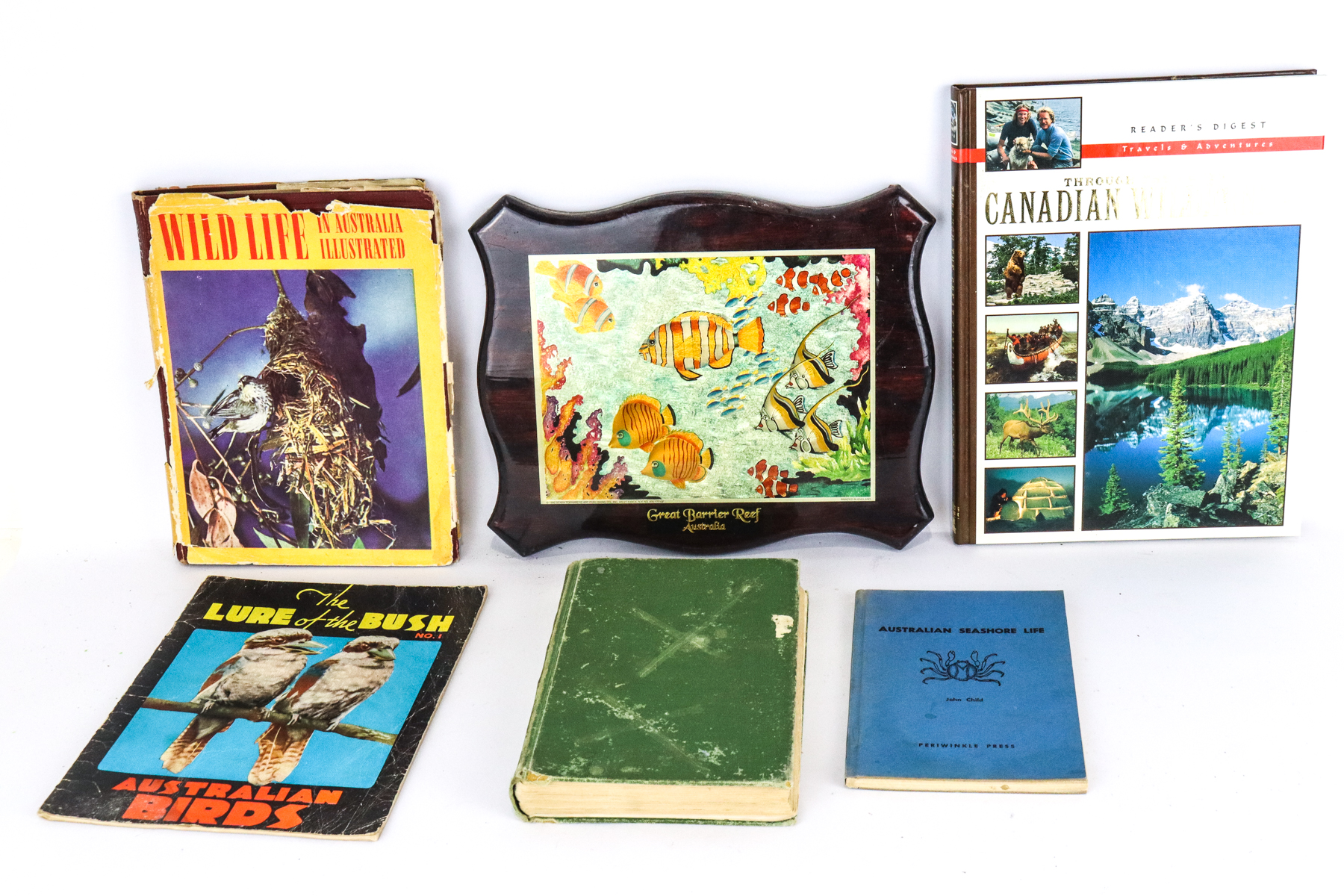 Lot 348 - Image 2