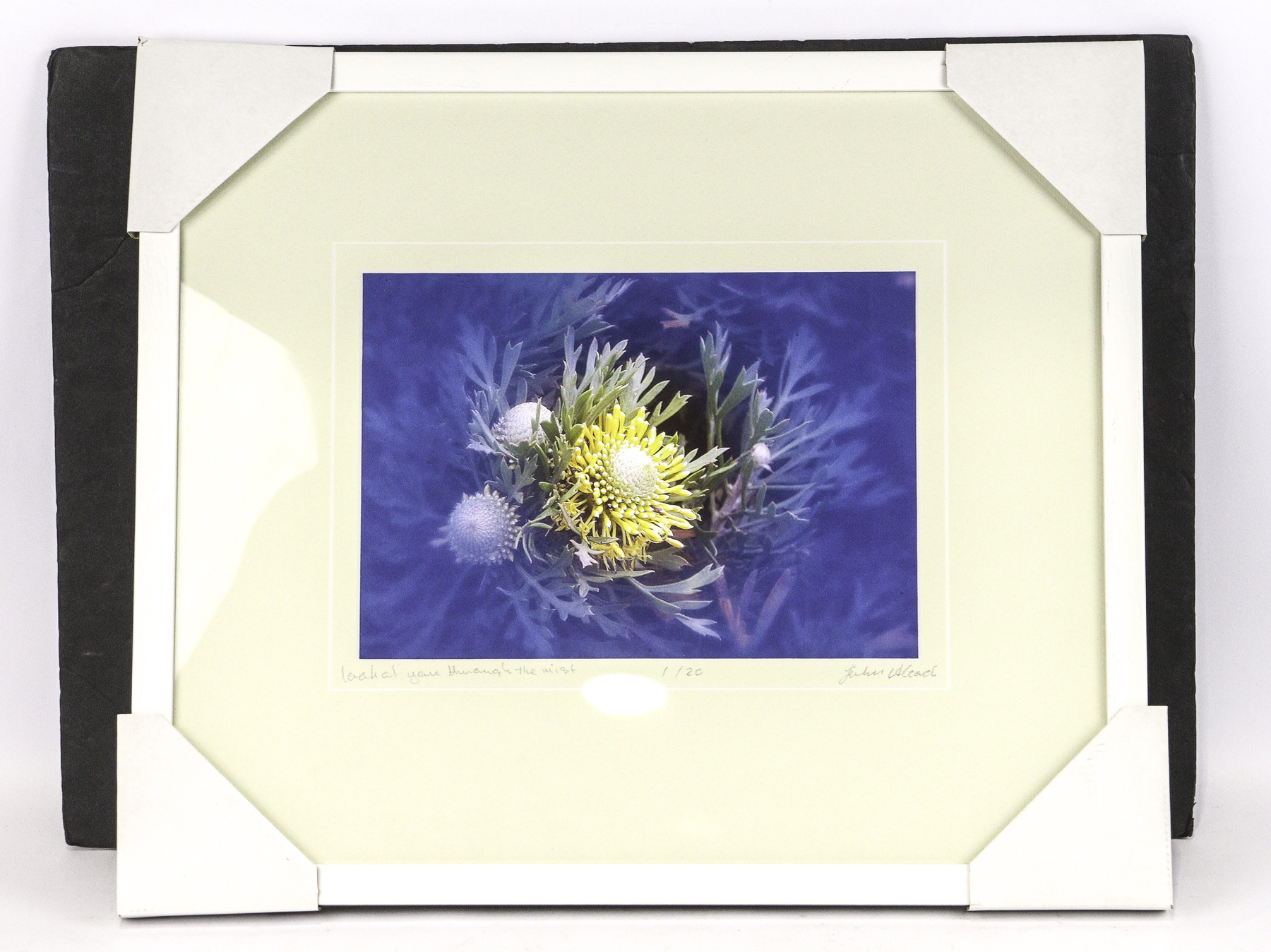 Lot 106 - Image 2