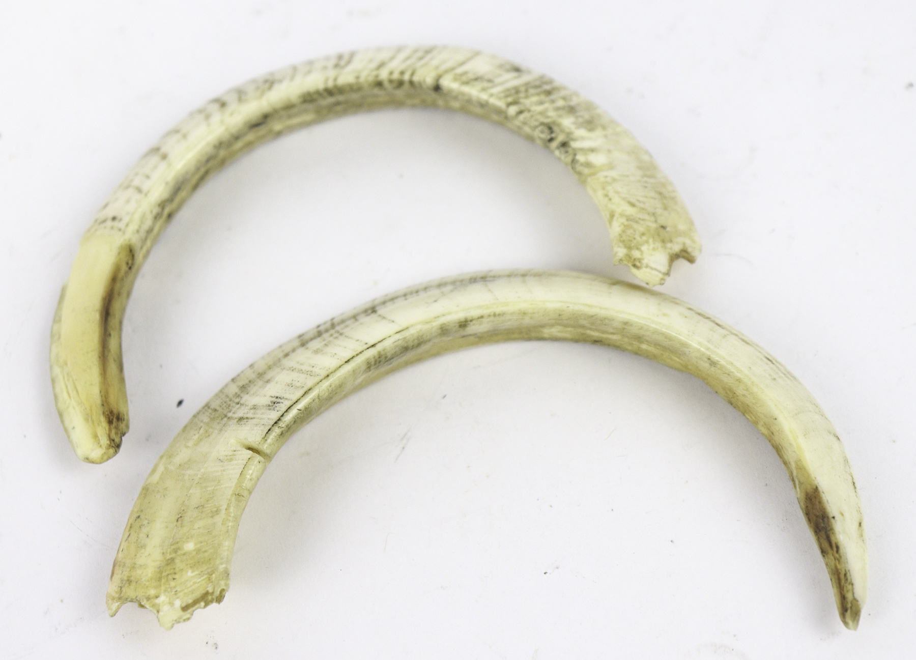 Lot 106 - Image 2