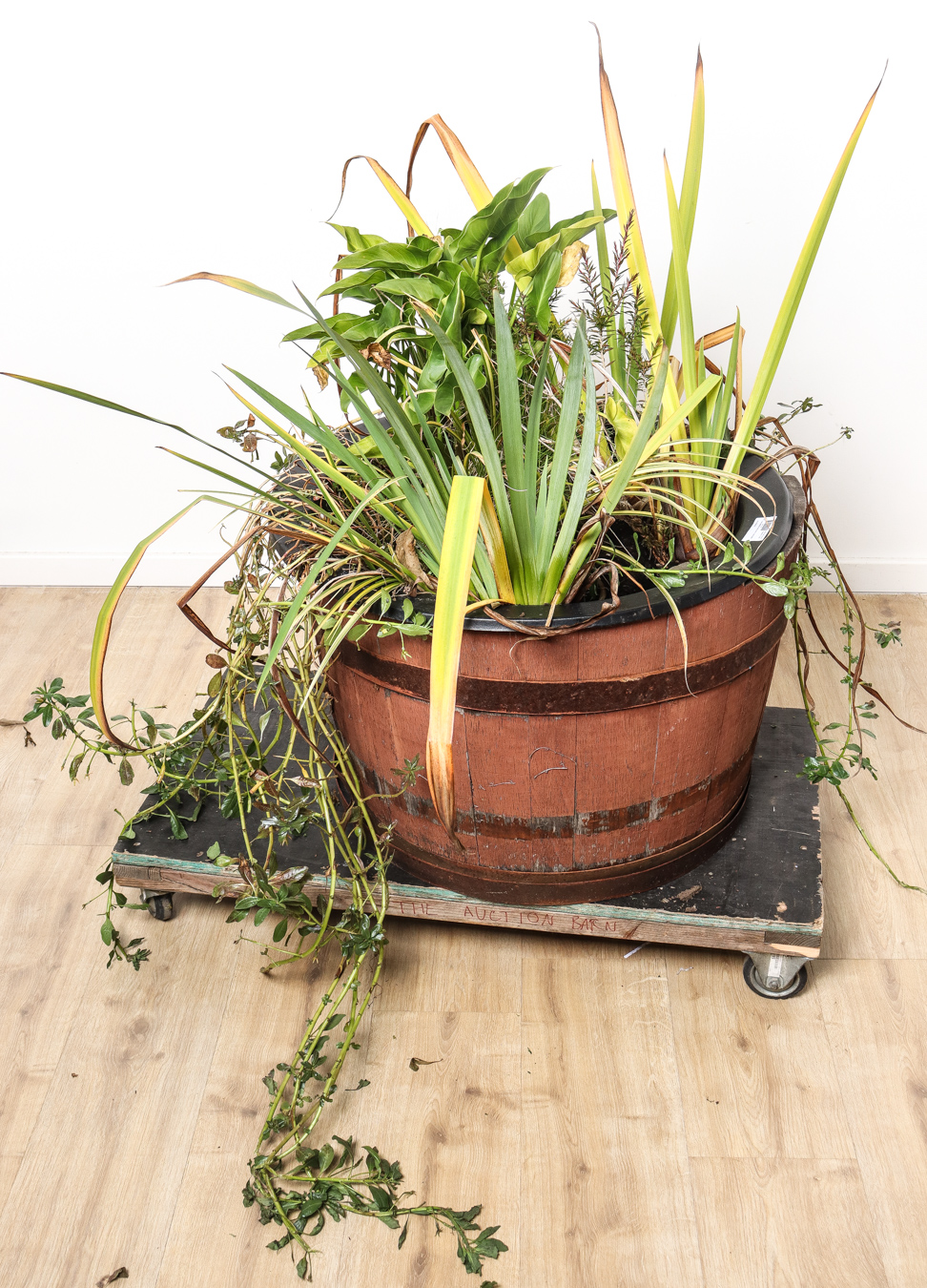 Lot 3 - Image 2