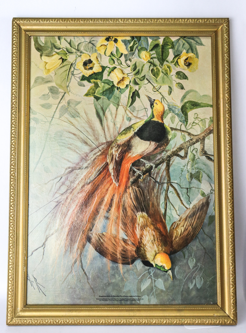 Lot 386 - Image 2