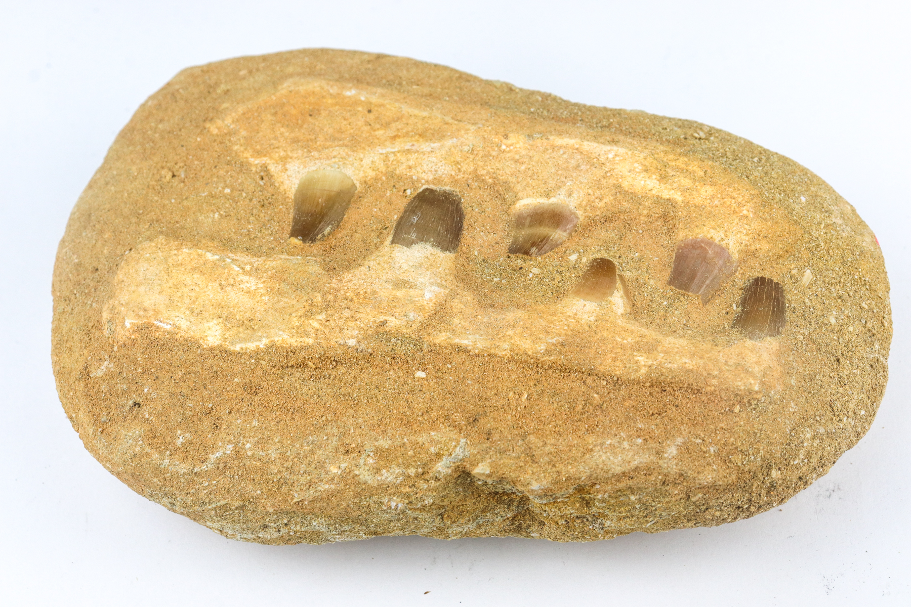 Lot 111 - Image 2