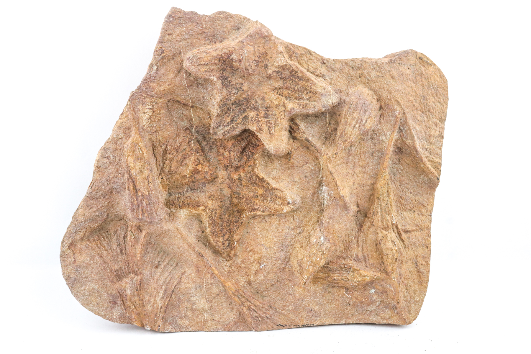Lot 58 - Image 2