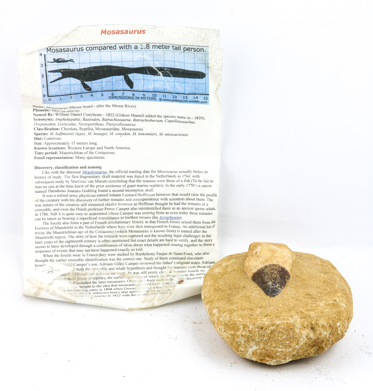Lot 109 - Image 2