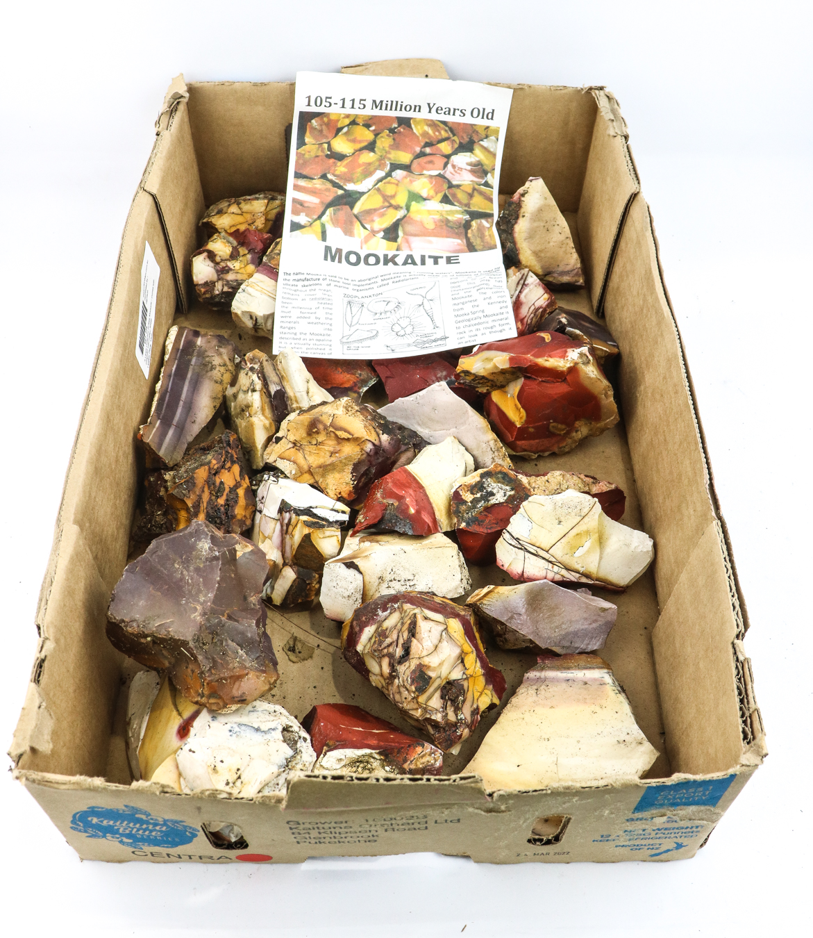 Lot 61 - Image 2