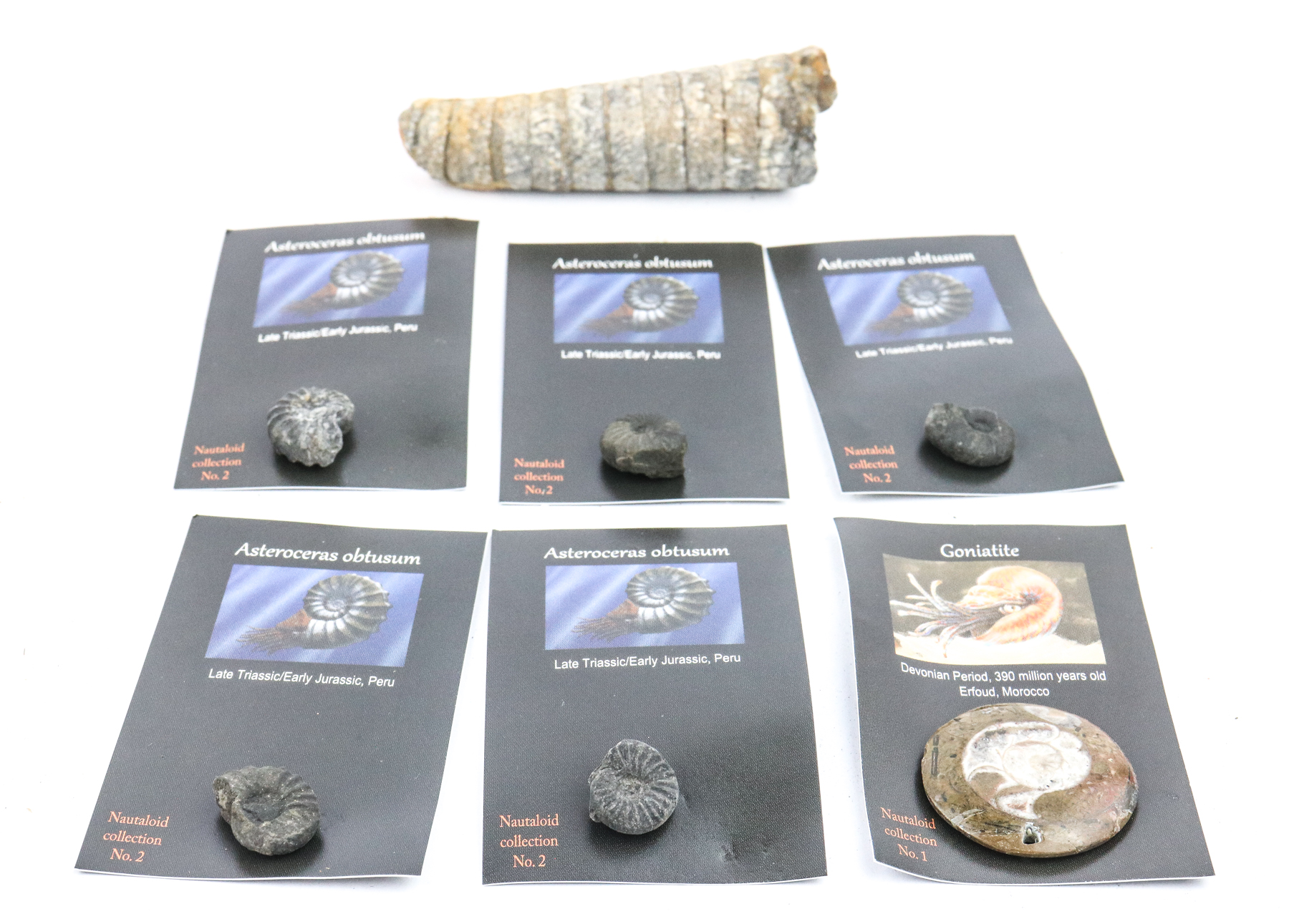 Lot 10 - Image 2