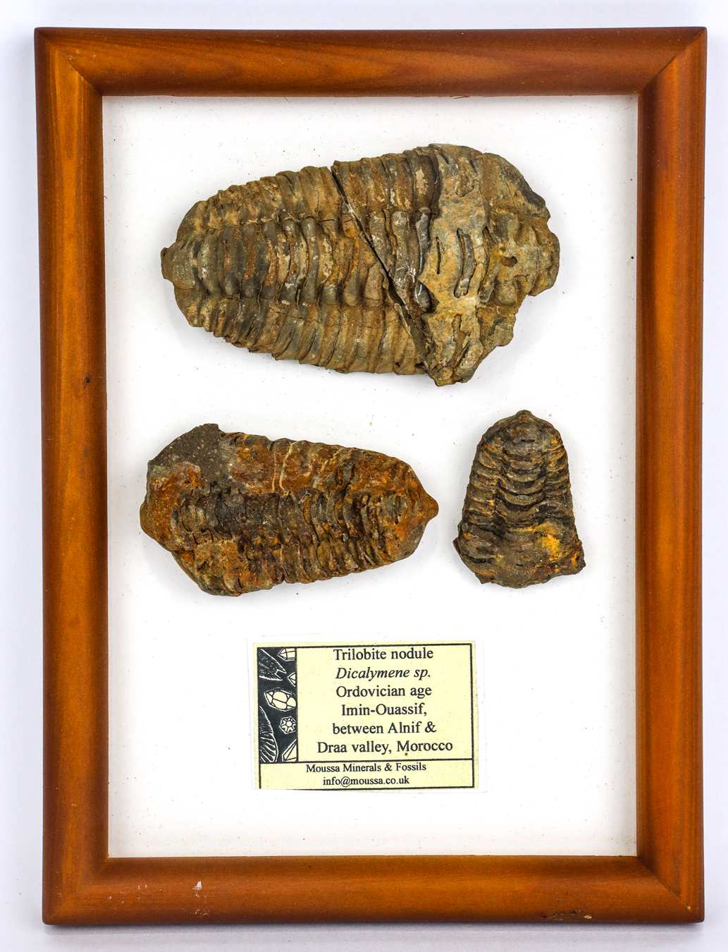 Lot 108 - Image 2