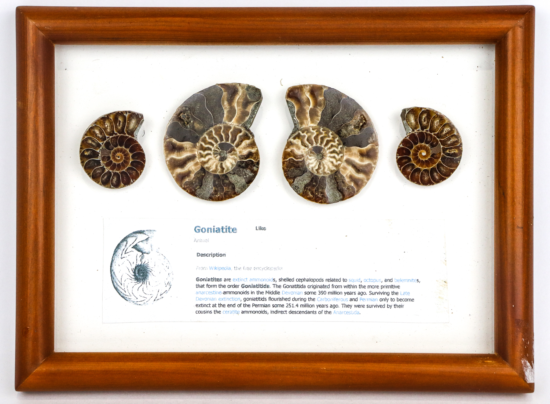 Lot 103 - Image 2