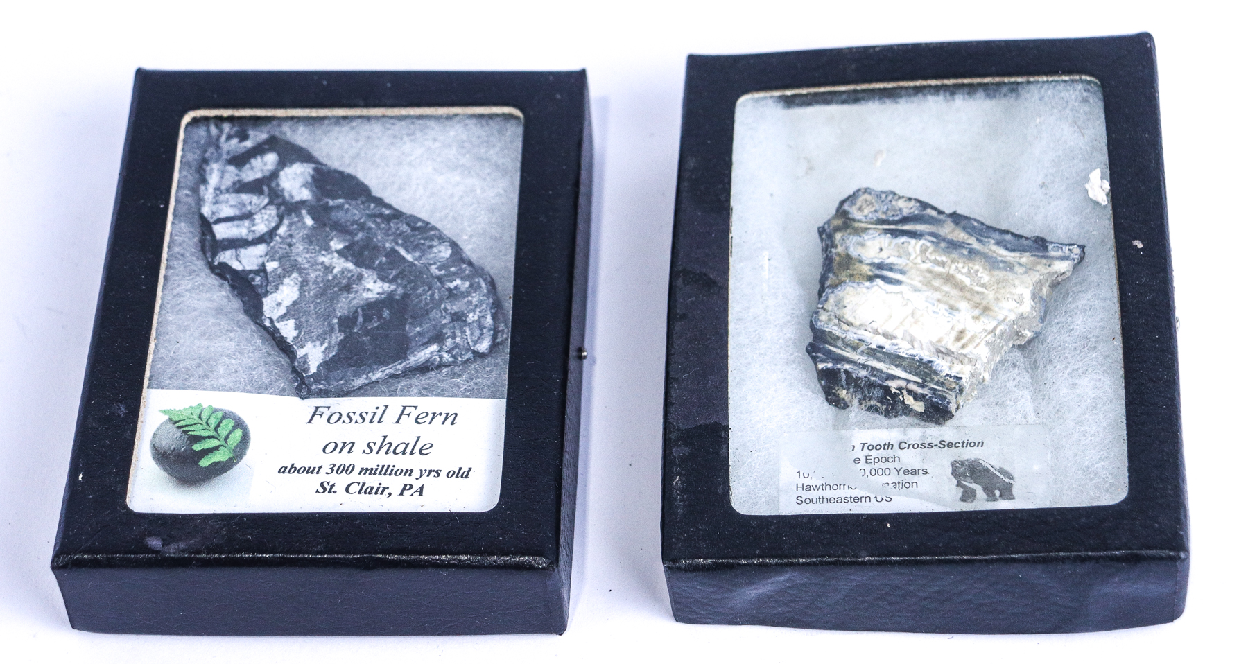 Lot 113 - Image 2