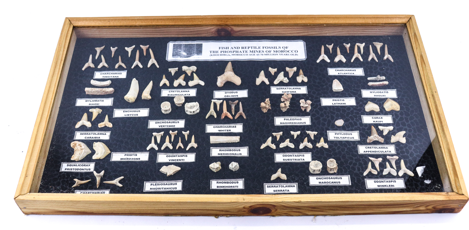 Lot 277 - Image 2