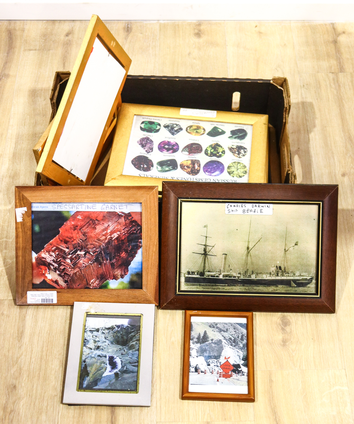 Lot 257 - Image 2
