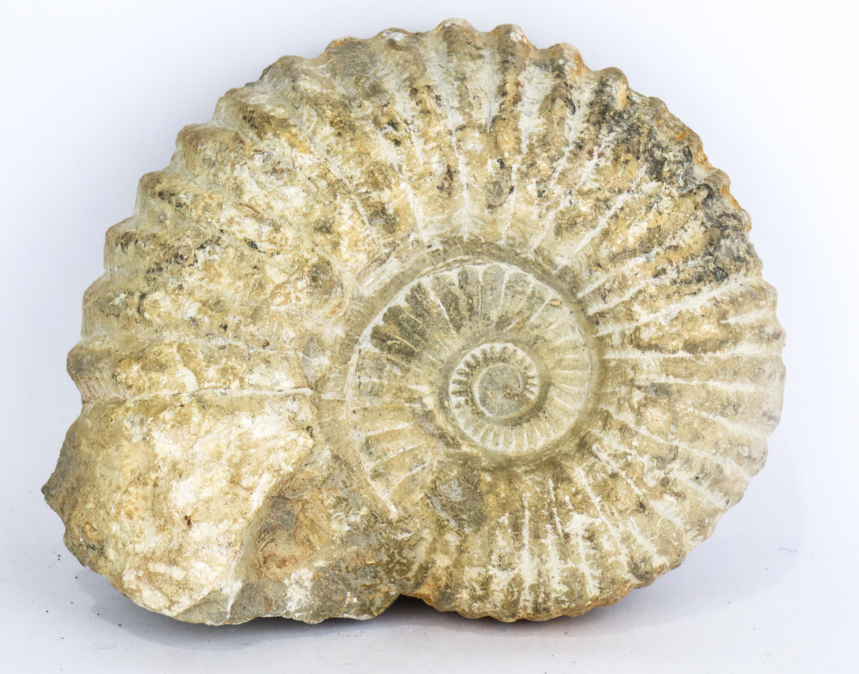 Lot 102 - Image 2